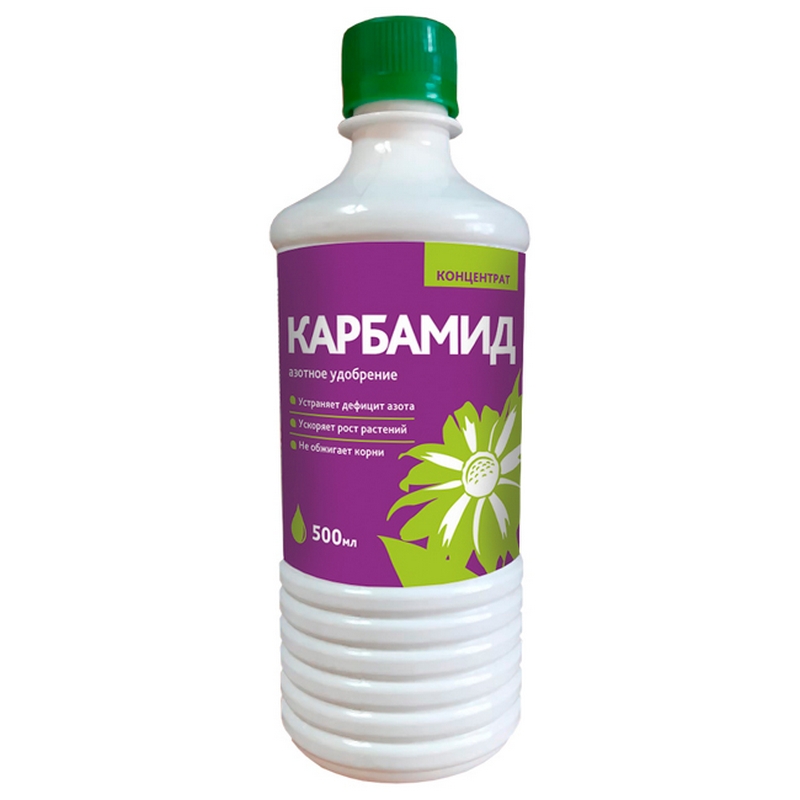 Медбике сперматозоидтарды жинайды Медбике сперматозоидтарды жинайды