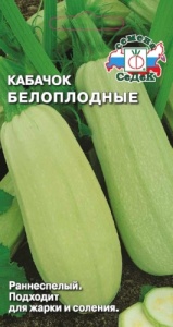 55528