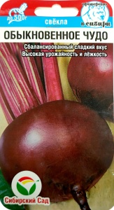 54362