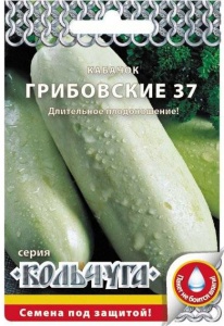 55381