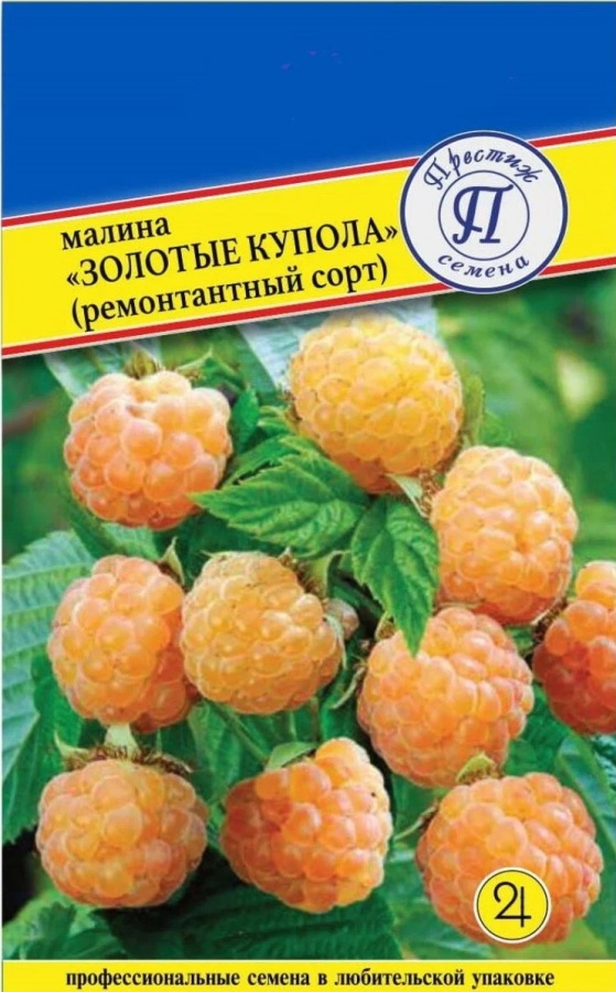 Малина Золотые купола Сарафановский питомник растений