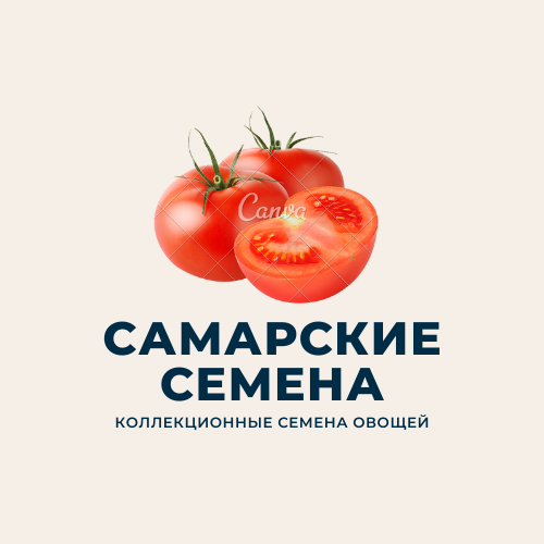 Магазин семена в самаре адреса. Самарские семена томатов Песчаная Глинка. ФХ Самарские семена. Самаре семечки. Самарские семена Песчаная Глинка 26 каталог.