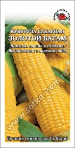 58647