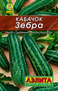 51336