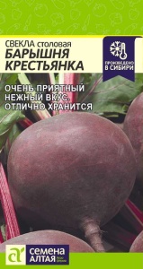 55531