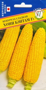 52006