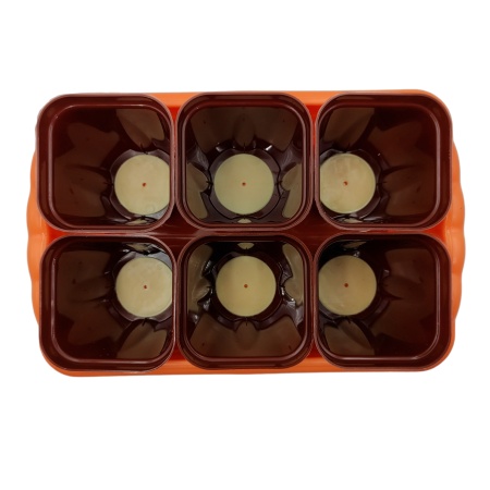 Комплект для рассады 24,7х16,6х9см (6 горшков со съемным дном 250мл, ящик) (пластик) цветной