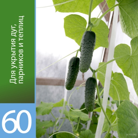 Агротекс 60 (спанбонд) (1,6х10м)