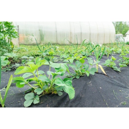 Агроспантекс 60 (3,2х200м) черный