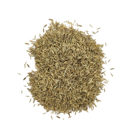 Газон Евро-Спорт 0,25кг