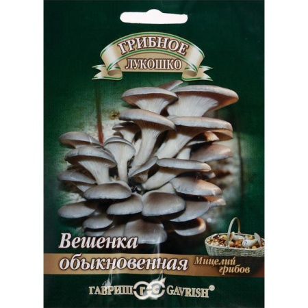 Грибы Вешенка Обыкновенная на древесной палочке (12шт.) (Гавриш)