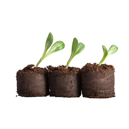 Таблетка торфяная d~27мм с оболочкой