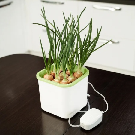 Проращиватель семян "Здоровья клад Х1" с эл.компрессором (белый)