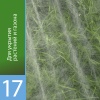 Агротекс 17 (спанбонд) (1,6х500м)