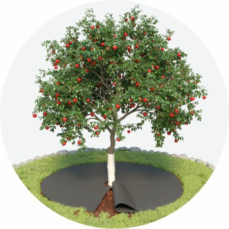 Приствольный круг (агротекс с УФ) d 0,6м (10шт.)