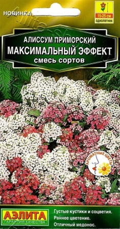 Алиссум Максимальный эффект (смесь сортов) 0,05г (Аэлита)