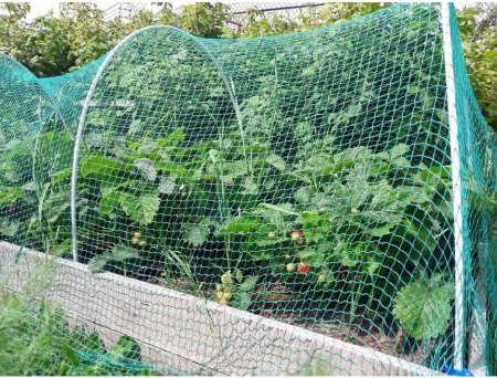 Навес "Защитник" 5м от птиц и насекомых (3 дуги стеклопластик. х 2м, сетка 2х5м яч.15х15мм)