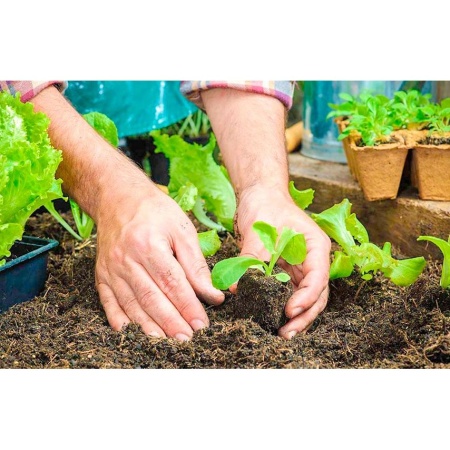 Таблетка торфяная d~30мм без оболочки