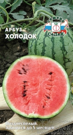 Арбуз Холодок 1г (СеДеК)
