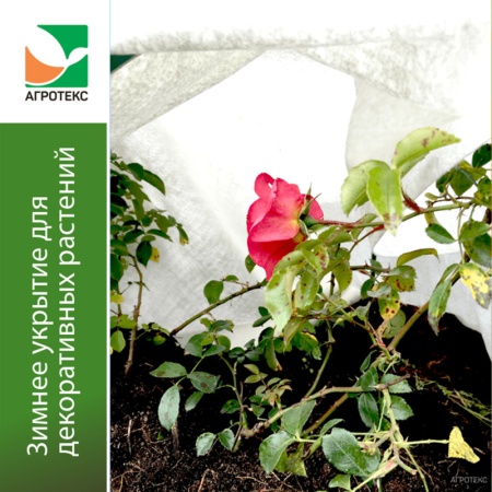 Зимнее укрытие для цветущих кустарников 2,0х50м