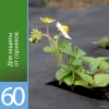 Агротекс 60 (спанбонд) (1,6х10м) черный