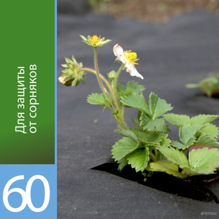 Агротекс 60 (спанбонд) (1,6х10м) черный