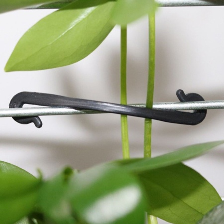 Кистедержатель для растений пластик. 6см (50шт.)