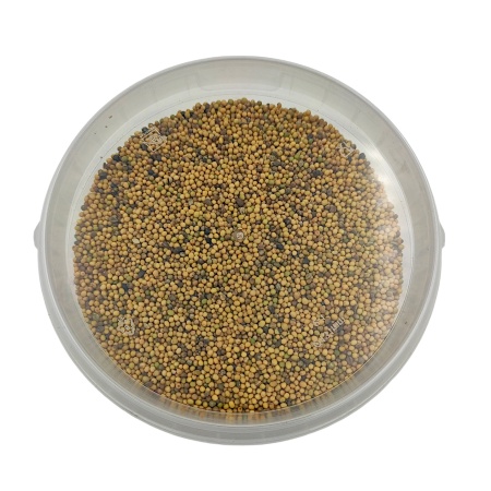 Сидерат Горчица белая ведро 0,8л