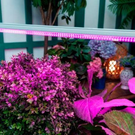 Светильник светодиодный для растений 35Вт 1150мм (спектр для рассады и цветения)