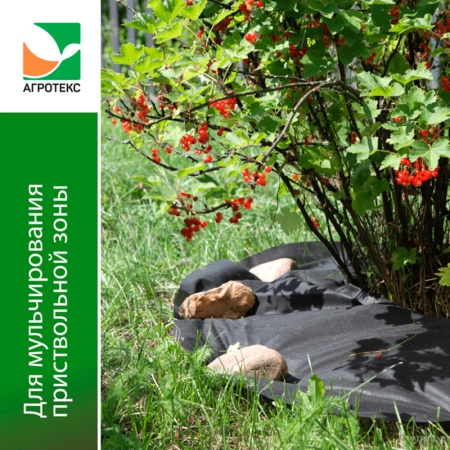 Приствольный круг (агротекс с УФ) d 0,6м (10шт.)