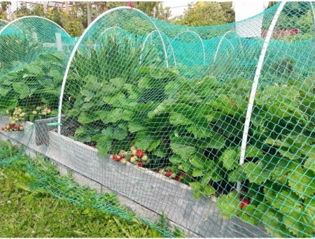 Навес "Защитник" 5м от птиц и насекомых (3 дуги стеклопластик. х 2м, сетка 2х5м яч.15х15мм)