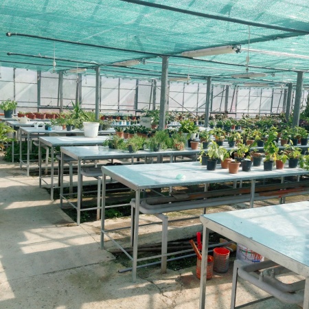 Сетка затеняющая 40% рулон 2х50м (зеленый)