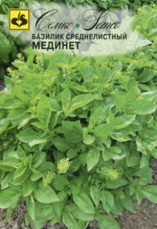 Базилик Мединет среднелистный 1г (Семко)