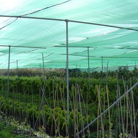 Сетка затеняющая 40% рулон 2х50м (зеленый)