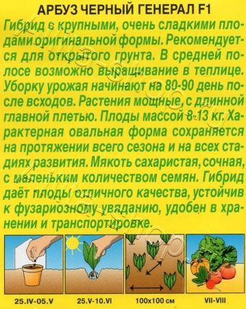 Арбуз Черный генерал F1 5шт. (Аэлита)