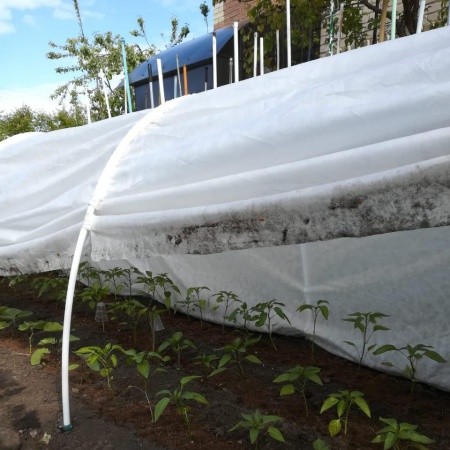 Парник п/эт. "Отличник" 6х1,15м высота 1,15м с укр.мат.60г/кв.м, дуга 2,8м, двери на молниях