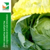Комплект для капусты (агротекс 80 желт-черный 1,06х6м + шапочка желтая 10шт. (защита от вредителей))