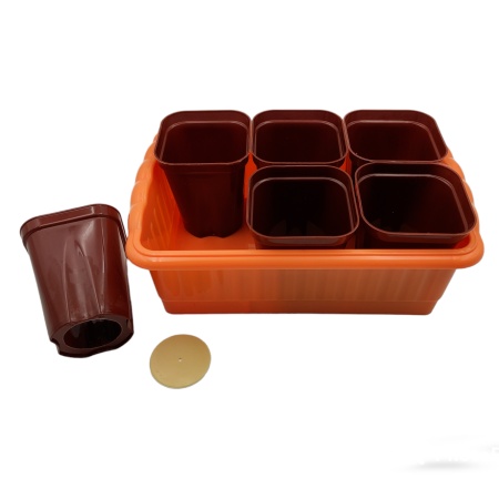 Комплект для рассады 24,7х16,6х9см (6 горшков со съемным дном 250мл, ящик) (пластик) цветной