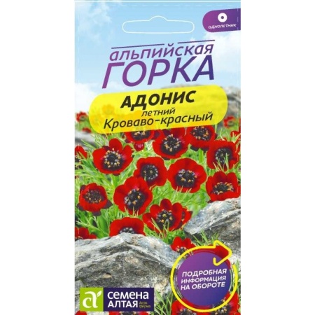 Адонис летний Кроваво-красный 0,2г (Семена Алтая)