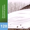 Агротекс 120 (спанбонд) (3,2х100м)