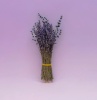 Лаванда, пучок 50г обработанный, h 25-35см
