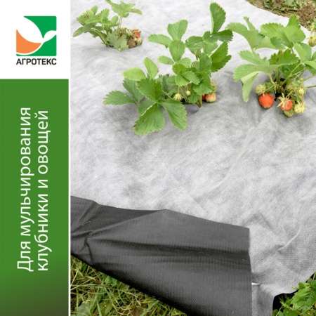 Агротекс 80 (спанбонд) (1,6х5м) бело-черный 2-слойный (для мульчирования)