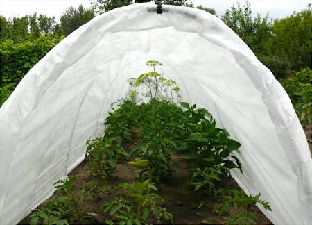 Райфенхаузер 45 (укрывной нетканый материал) (3,5х8м)