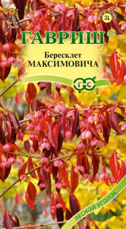 Бересклет Максимовича 0,2г (Гавриш)