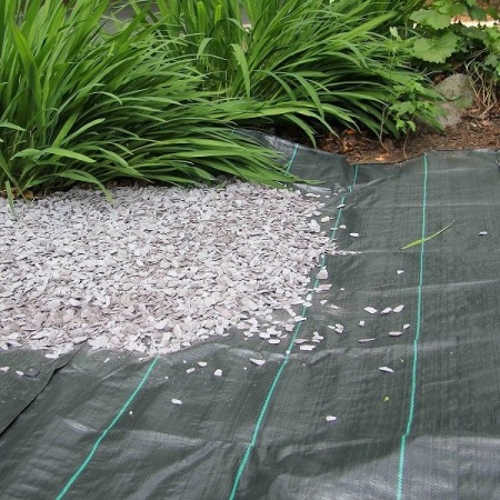 Агроткань 100 (1,6х50м) черный