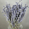 Лаванда, пучок 50г обработанный, h 25-35см
