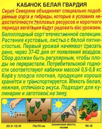 Кабачок Белая гвардия (белоплодный) 1г (Аэлита)