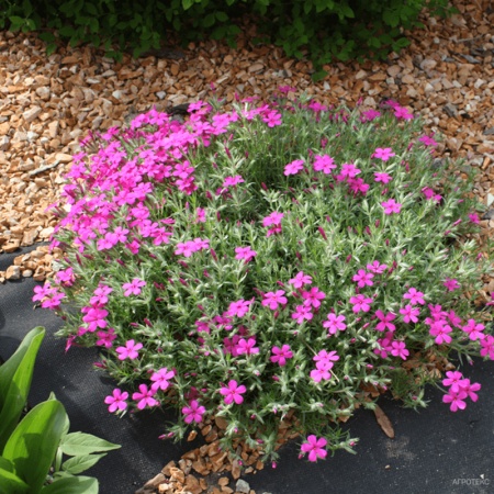 Агротекс 120 Гео (спанбонд) (3,2x100м) черный