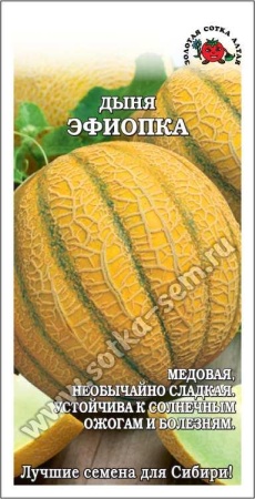 Дыня Эфиопка 0,5г (Золотая сотка Алтая)