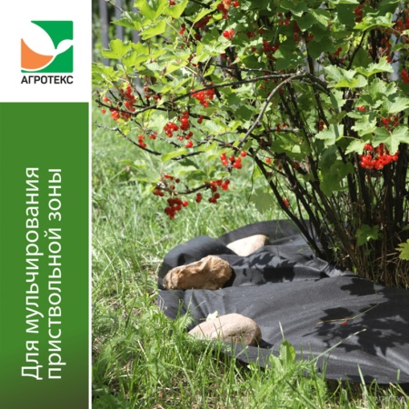 Приствольный круг (агротекс с УФ) d 0,8м (5шт.)